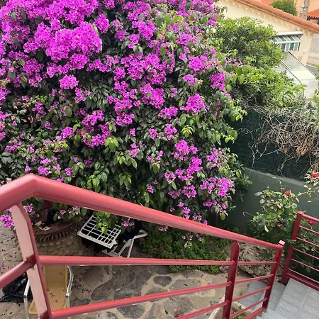 House With Patio And Air Conditioning Apartment Elne